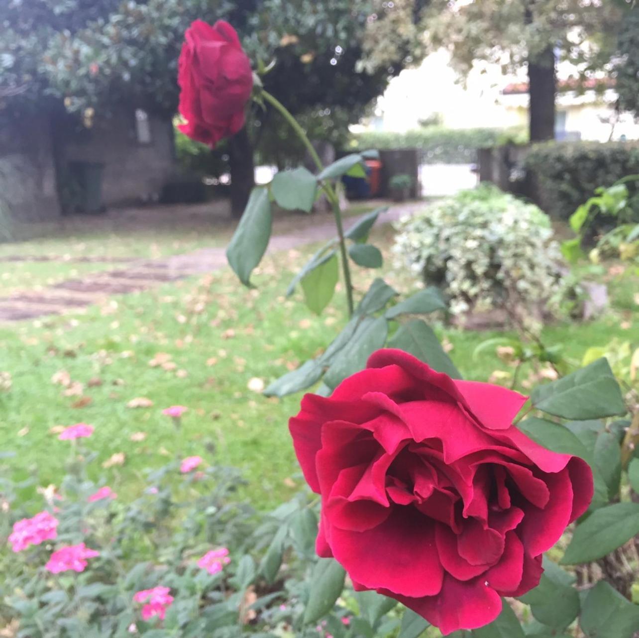 Appartamento Casa Della Nonna Noventa di Piave Bagian luar foto