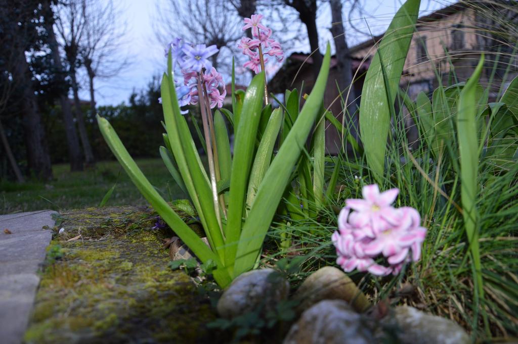 Appartamento Casa Della Nonna Noventa di Piave Bagian luar foto