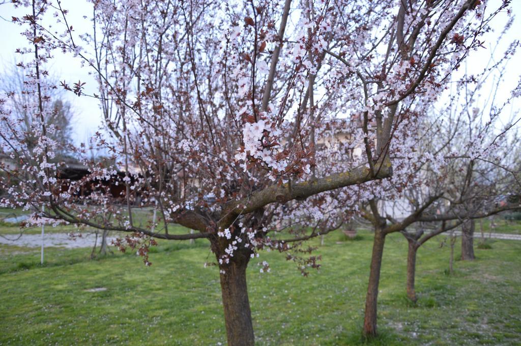 Appartamento Casa Della Nonna Noventa di Piave Bagian luar foto