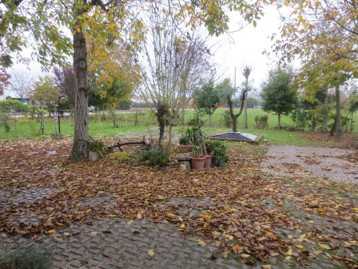 Appartamento Casa Della Nonna Noventa di Piave Bagian luar foto